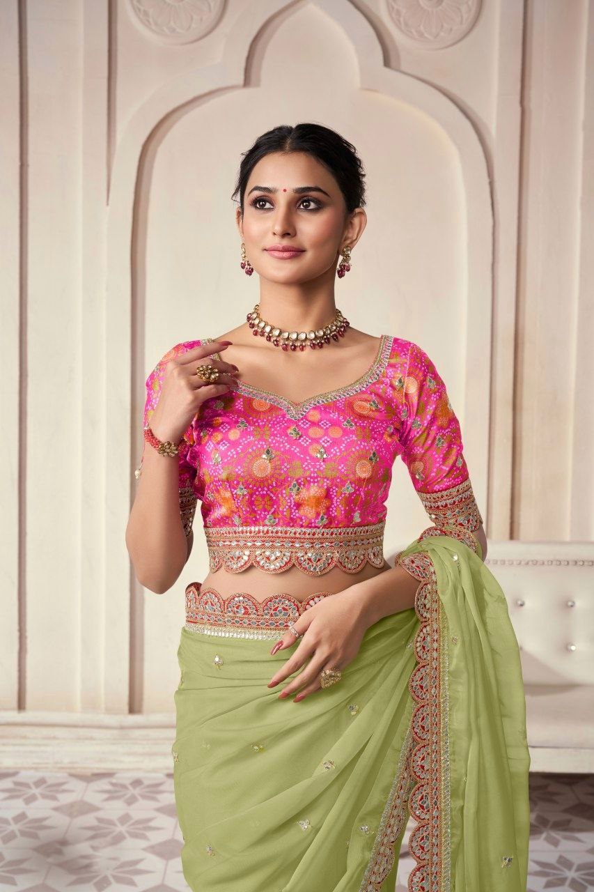Pista Organza Cording Foil Embroidered Saree