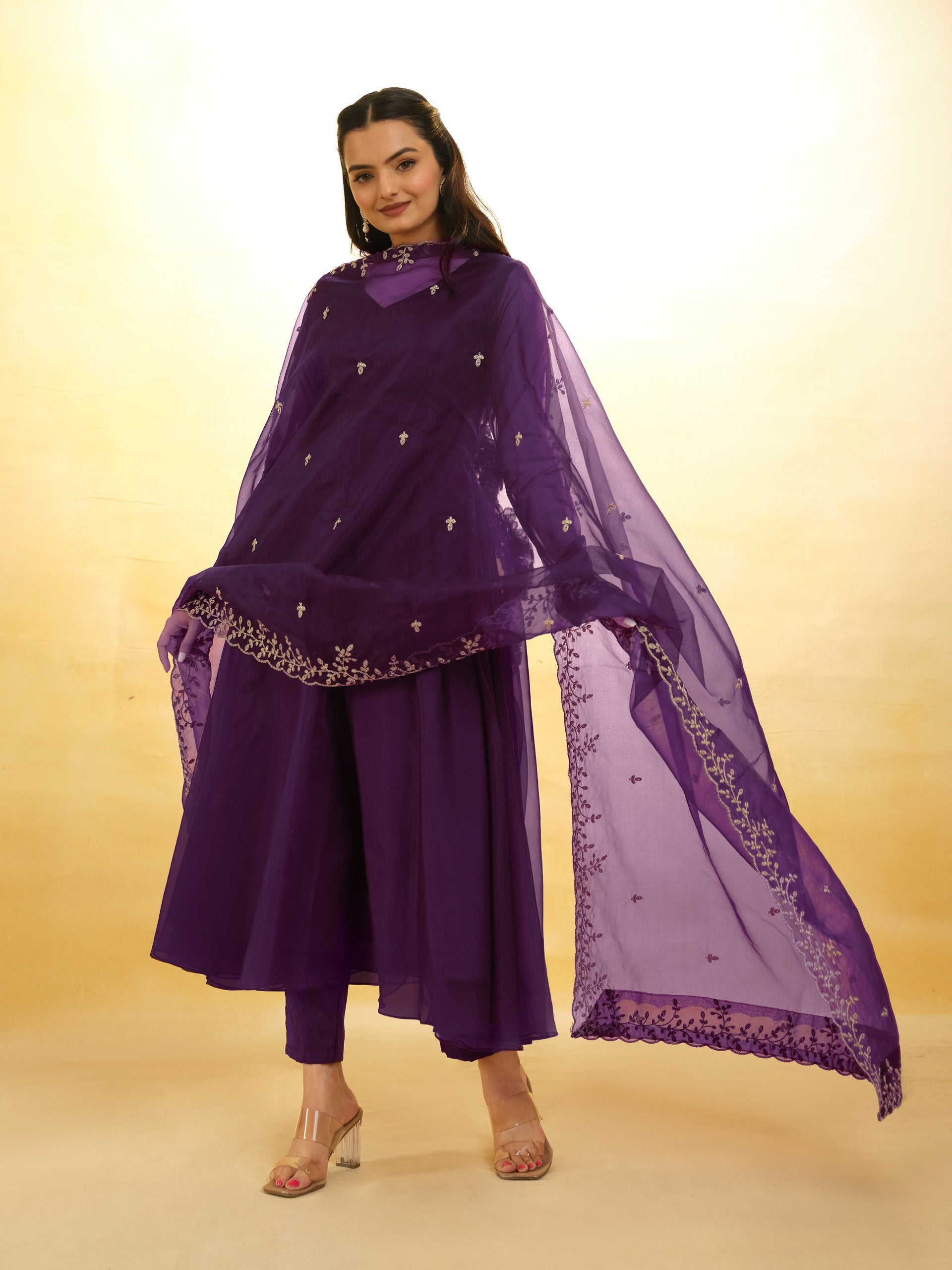 Anarkali Suit Organza